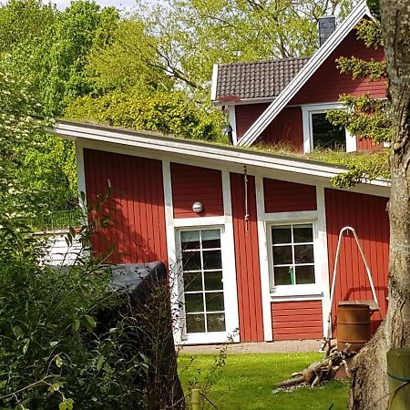 Apartament An Der Schafsweide Aukrug Zewnętrze zdjęcie